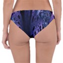 Fractal Web Reversible Hipster Bikini Bottoms View2