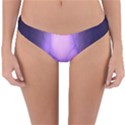 Violet Spark Reversible Hipster Bikini Bottoms View3