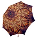 Sun Fractal Hook Handle Umbrellas (Medium) View2