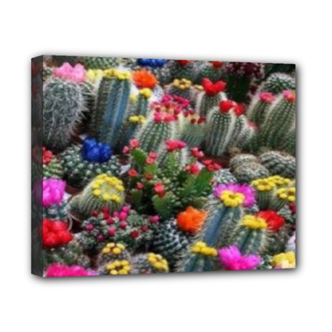 Cactus Canvas 10  X 8  (stretched) by Sparkle