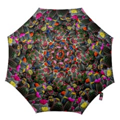 Cactus Hook Handle Umbrellas (medium) by Sparkle