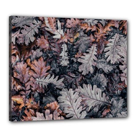 Autumn Leafs Canvas 24  X 20  (stretched) by Sparkle