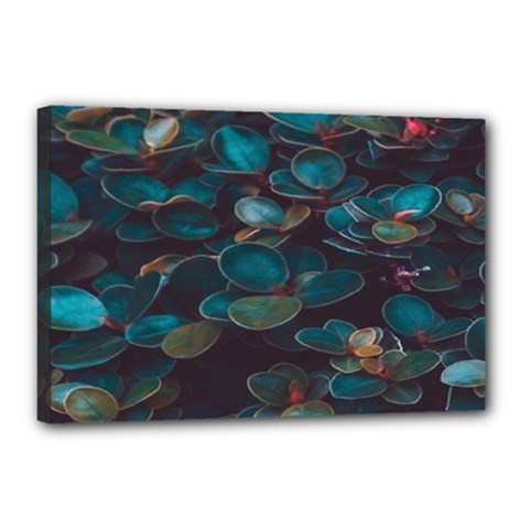Realeafs Pattern Canvas 18  X 12  (stretched) by Sparkle