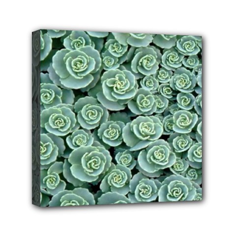Realflowers Mini Canvas 6  X 6  (stretched) by Sparkle