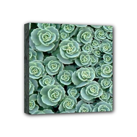 Realflowers Mini Canvas 4  X 4  (stretched) by Sparkle