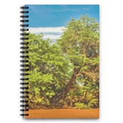 Carob Tree, Talampaya National Park, La Rioja, Argentina 5 5  X 8 5  Notebook by dflcprintsclothing