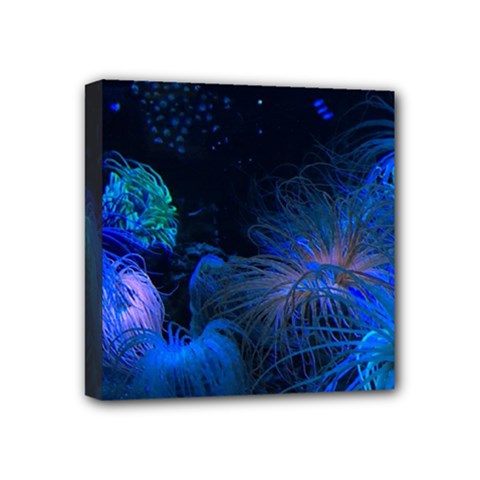 Photo D aquarium Mini Canvas 4  X 4  (stretched) by kcreatif