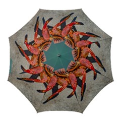 Colored Crab, Galapagos Island, Ecuador Golf Umbrellas by dflcprintsclothing