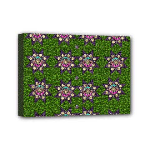 Star Over The Healthy Sacred Nature Ornate And Green Mini Canvas 7  X 5  (stretched) by pepitasart
