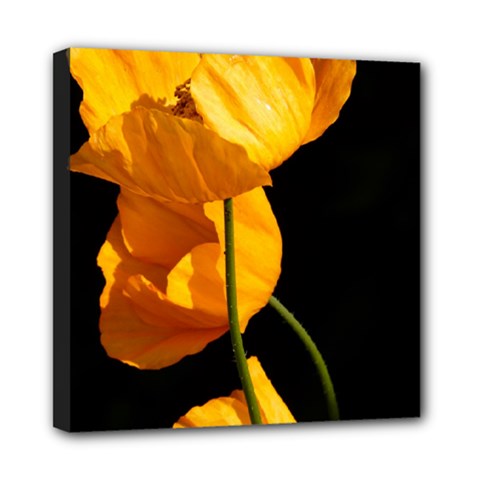 Yellow Poppies Mini Canvas 8  X 8  (stretched) by Audy