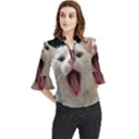 Wow Kitty Cat From Fonebook Loose Horn Sleeve Chiffon Blouse View1