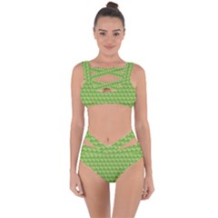 Green Pattern Ornate Background Bandaged Up Bikini Set  by Dutashop