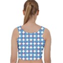 Geometric Dots Pattern Velvet Racer Back Crop Top View2