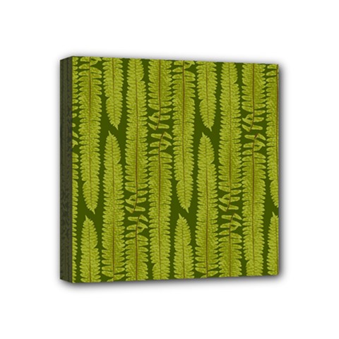 Fern Texture Nature Leaves Mini Canvas 4  X 4  (stretched) by Dutashop