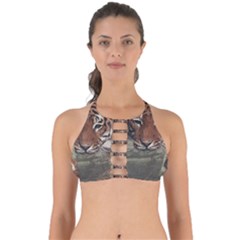 Swimming Tiger Perfectly Cut Out Bikini Top by ExtraAwesomeSauce