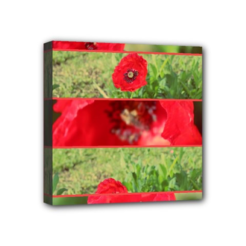 Photos Collage Coquelicots Mini Canvas 4  X 4  (stretched) by kcreatif