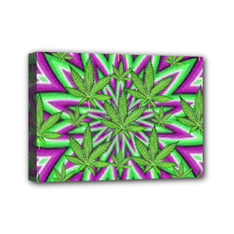 Purple, White, Green, Marijuana, Leaves, Cbdoilprincess  5de76707-e767-40d0-a70d-e7c36407f0a3 Mini Canvas 7  X 5  (stretched) by CBDOilPrincess1