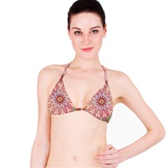 Pink Beauty 1 Bikini Top by LW41021