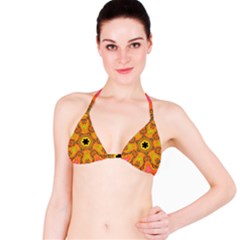 Sassafras Bikini Top by LW323