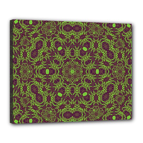 Greenspring Canvas 20  X 16  (stretched) by LW323