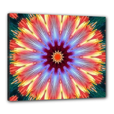 Passion Flower Canvas 24  X 20  (stretched) by LW323