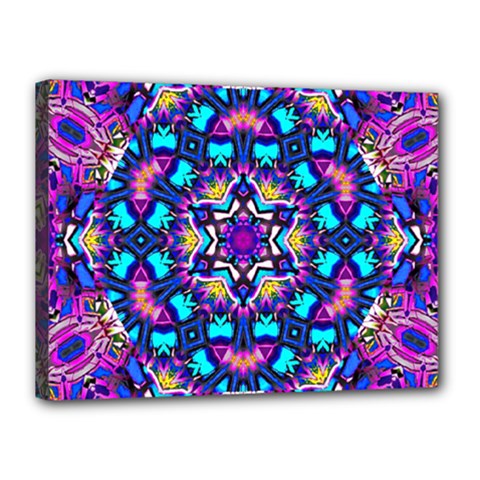 Lovely Dream Canvas 16  X 12  (stretched) by LW323