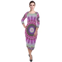 Sweet Cake Quarter Sleeve Midi Velour Bodycon Dress by LW323