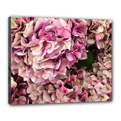 Pink Hydrangea Canvas 20  X 16  (stretched) by kaleidomarblingart