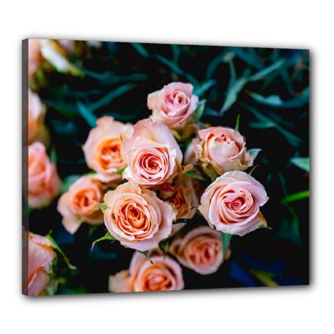 Sweet Roses Canvas 24  X 20  (stretched) by LW323