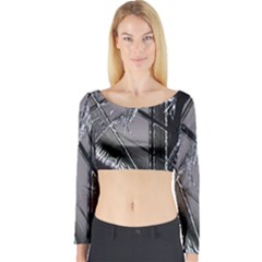 Ag Cobwebs Long Sleeve Crop Top by MRNStudios