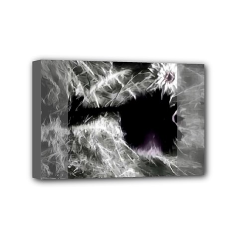Pick Me Mini Canvas 6  X 4  (stretched) by MRNStudios