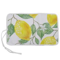 Vintage Lemons Pen Storage Case (l) by SomethingForEveryone