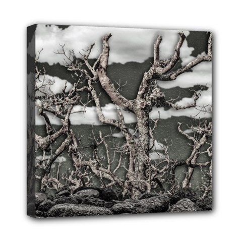 Dark Fantasy Landscape Poster Mini Canvas 8  X 8  (stretched) by dflcprintsclothing