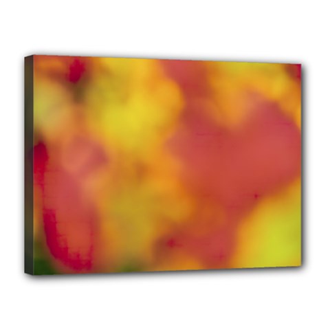 Flower Abstract Canvas 16  X 12  (stretched) by DimitriosArt