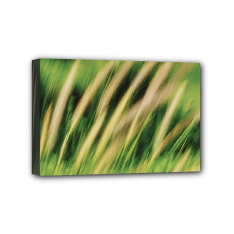 Color Motion Under The Light No2 Mini Canvas 6  X 4  (stretched) by DimitriosArt