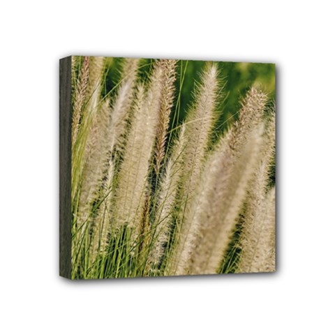 Under The Warm Sun No2 Mini Canvas 4  X 4  (stretched) by DimitriosArt