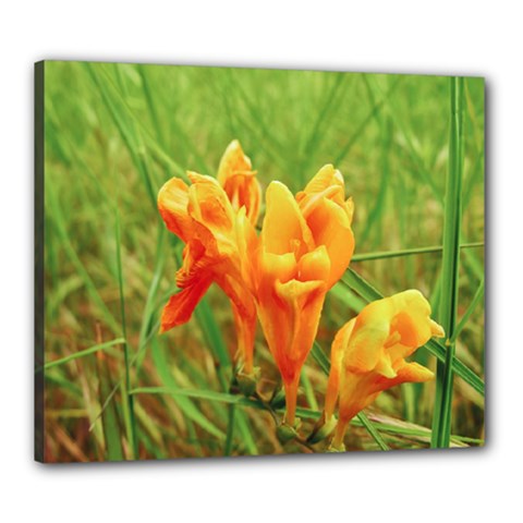 Orange On The Green Canvas 24  X 20  (stretched) by DimitriosArt