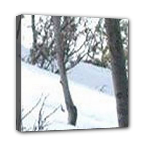 Winter Forest Mini Canvas 8  X 8  (stretched) by SomethingForEveryone