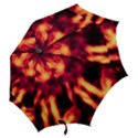 Lava Abstract Stars Hook Handle Umbrellas (Small) View2