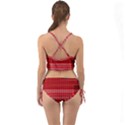 Gradient (101) Mini Tank Bikini Set View2