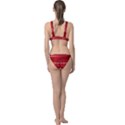 Gradient (101) Classic Banded Bikini Set  View2
