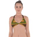 Gradient Halter Neck Bikini Top View1