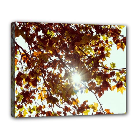 Golden Leaf s Canvas 14  X 11  (stretched) by DimitriosArt