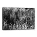 Field of light abstract 2 Canvas 18  x 12  (Stretched) View1