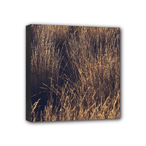 Field Of Light Pattern 1 Mini Canvas 4  X 4  (stretched) by DimitriosArt