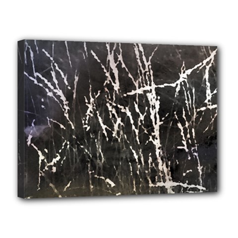 Abstract Light Games 1 Canvas 16  X 12  (stretched) by DimitriosArt
