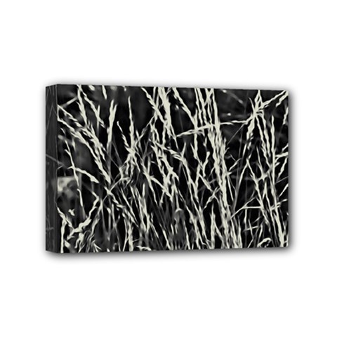 Abstract Light Games 9 Kiran Fa457 Mini Canvas 6  X 4  (stretched) by DimitriosArt