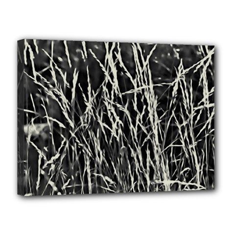 Abstract Light Games 9 Kiran Fa457 Canvas 16  X 12  (stretched) by DimitriosArt