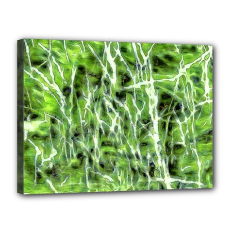 Green Desire Canvas 16  X 12  (stretched) by DimitriosArt