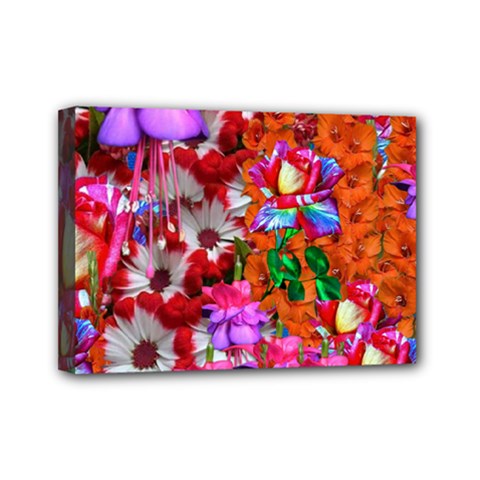 Backgrounderaser 20220425 173842383 Backgrounderaser 20220427 131956690 Mini Canvas 7  X 5  (stretched) by marthatravis1968